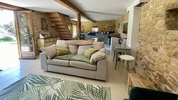 TV connectée, cheminée, livres