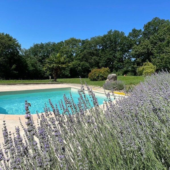 Pool - Pretty traditional stone gite and access to private pool (Veyrines-De-Domme)