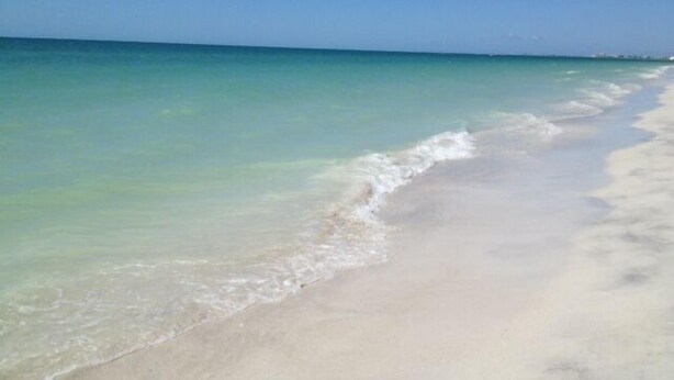 Une plage à l’eau turquoise et limpide, bordée d’un rivage sablonneux.
