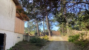 Ein schmaler gepflasterter Weg führt zu einem Gebäude mit Holzwand und geneigtem Dach.