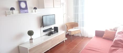 TV, DVD player, books