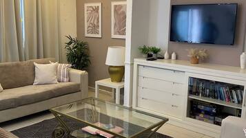 Smart TV, fireplace, DVD player, books