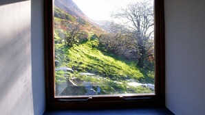 Una ventana con vistas a una ladera verde y árboles.