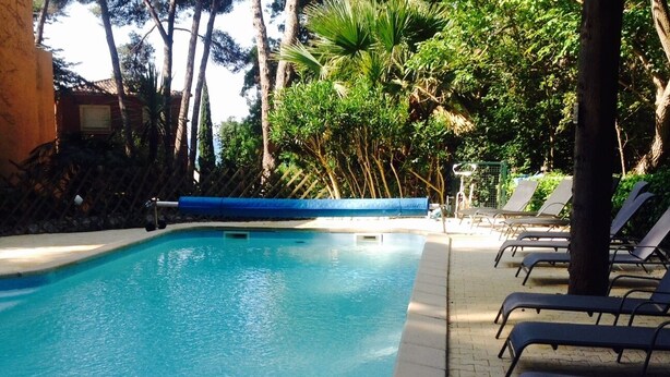 A swimming pool with lounge chairs and palm trees. - Flat - 2 rooms - 4 persons (Sanary-Sur-Mer)