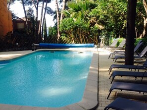 A swimming pool with lounge chairs and palm trees. - Flat - 2 rooms - 4 persons (Sanary-Sur-Mer)
