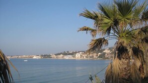 A coastal view with a palm tree, clear blue sea, and a distant town. - Flat - 2 rooms - 4 persons (Sanary-Sur-Mer)