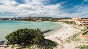 Un hôtel situé sur la côte, avec vue sur la plage, un grand arbre et un ciel dégagé.