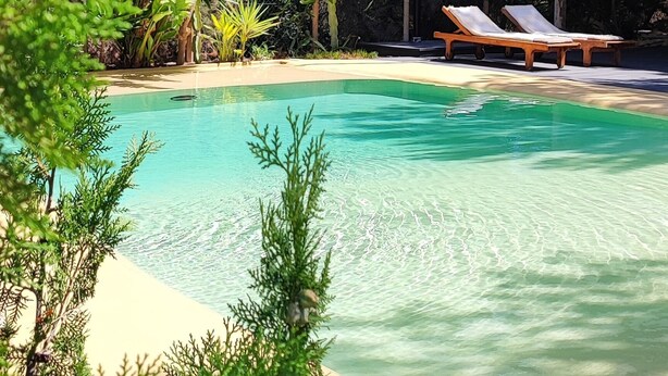 A clear swimming pool surrounded by lush greenery and two wooden lounge chairs. - Villa CASA VERDE with private parking and swimming pool. WIFI, A/C, Terraces and BBCOA⭐⭐⭐⭐⭐ (sant francesc)