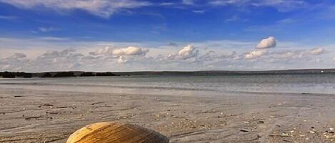 بالقرب من الشاطئ، كراسي للتشمس، مناشف للشاطئ