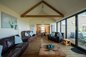 Smart TV, fireplace, video games, DVD player