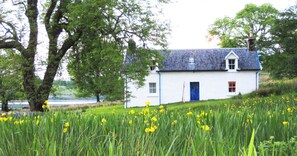 Una casa blanca con puerta azul y chimenea, rodeada de vegetación exuberante y flores amarillas.