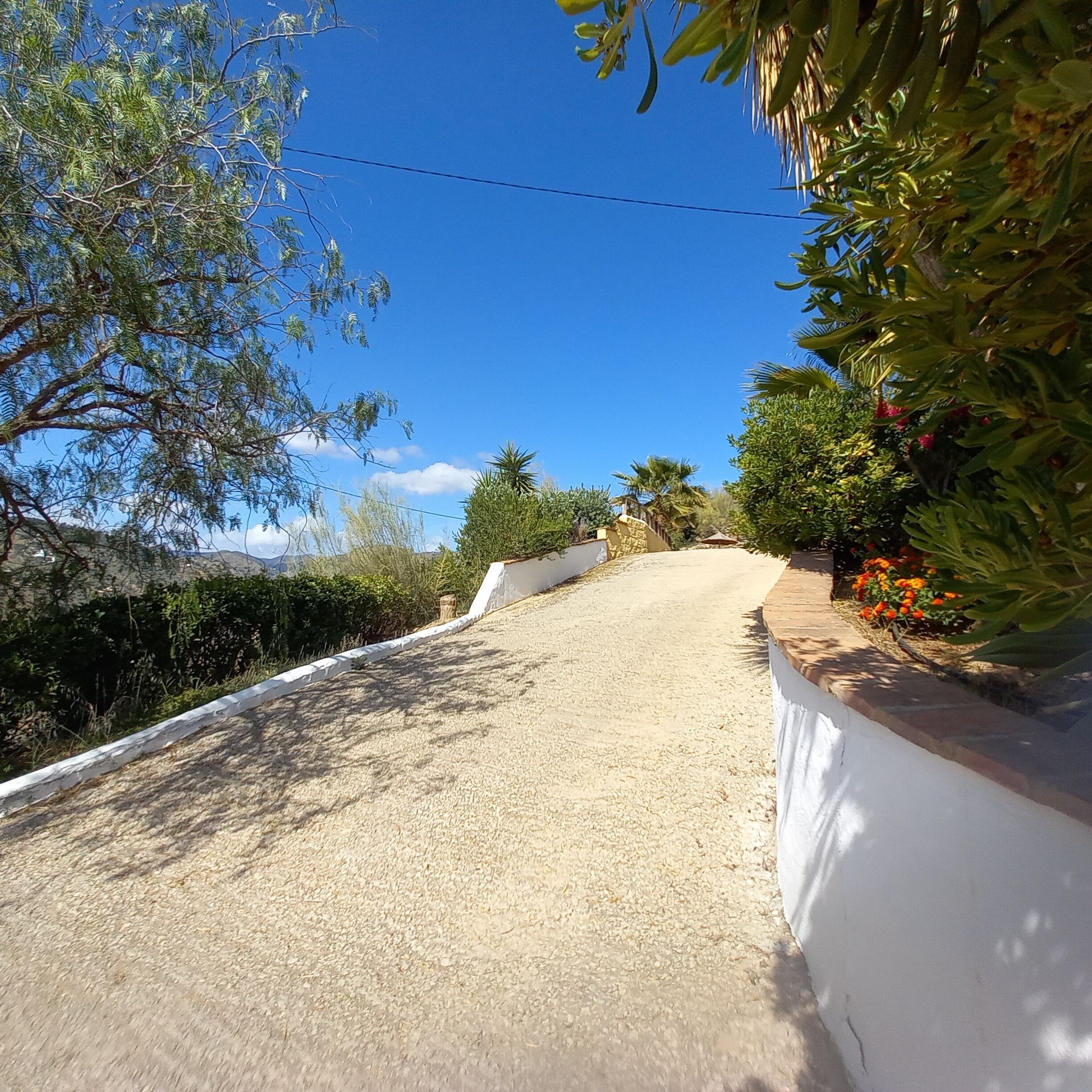 A paved road with white walls on both sides, surrounded by greenery and a clear blue sky.