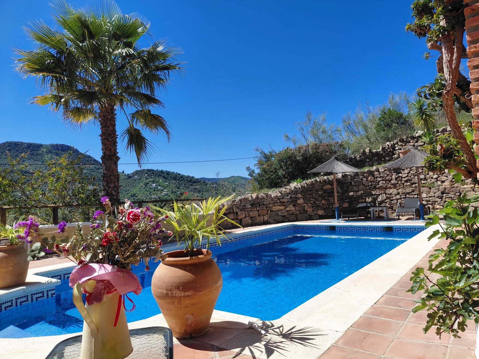 Ein Swimmingpool mit blauem Himmel, einer Palme und einer Steinmauer im Hintergrund.