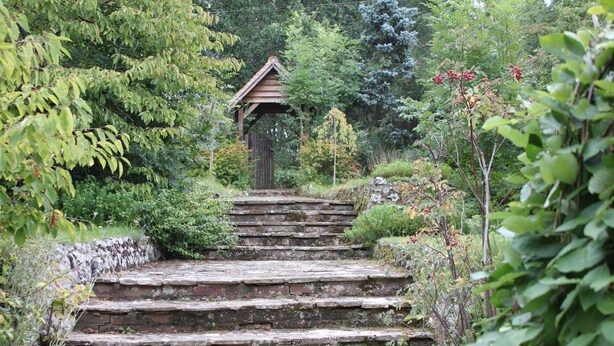 A set of stone steps leading up to a wooden structure surrounded by lush greenery. - Amberfold Lodge, Heyshott near Midhurst (Midhurst)