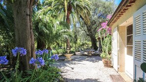 Un chemin de jardin mène à un bâtiment à l’extérieur blanc, doté de volets, et entouré de palmiers et de plantes à fleurs.