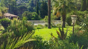 Un jardin luxuriant, avec une grande variété de plantes, un palmier et une clôture blanche.