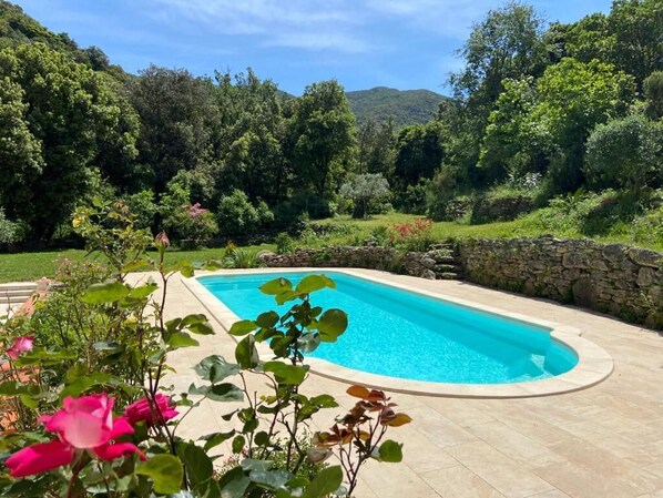 A swimming pool surrounded by a stone wall and lush greenery.