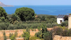 Un paysage côtier avec une maison dotée d’un panneau solaire, entourée d’une végétation luxuriante et d’un mur de pierre.