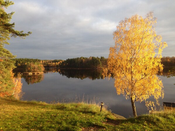 Escena serena junto al lago, con superficie acuática reflectante, un primer plano con césped y un árbol con follaje otoñal.