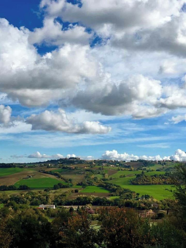 VIEW FROM THE HOUSE