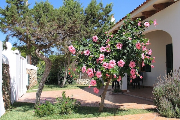 overview