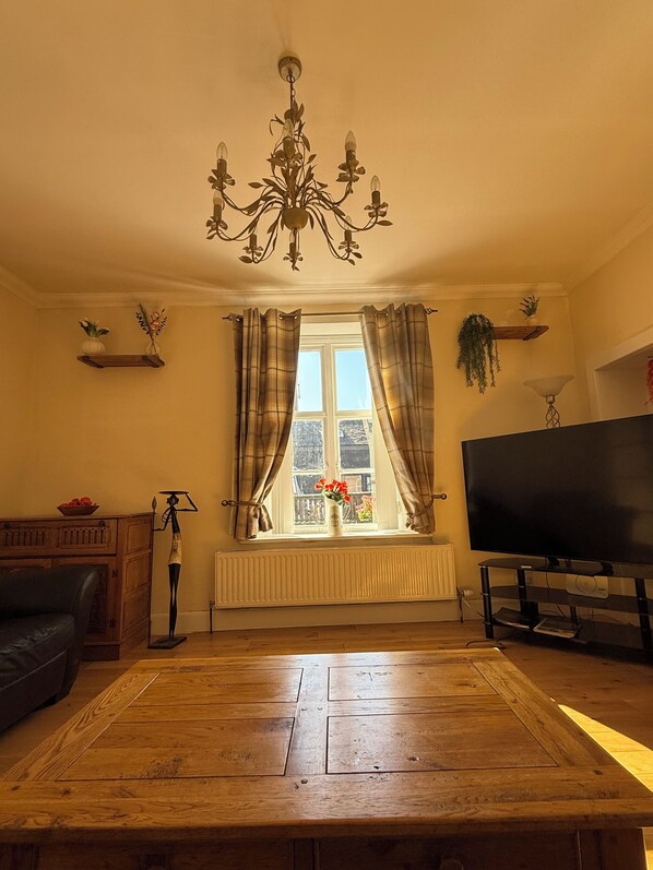Smart TV, DVD player, books, video library