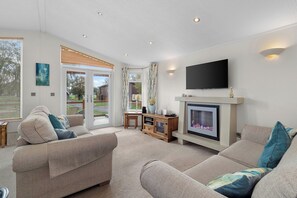 Smart TV, fireplace, DVD player, books