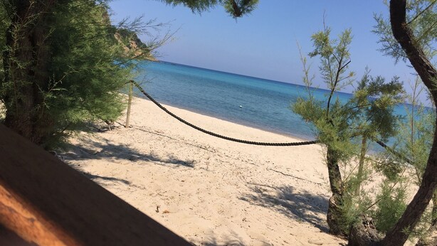 Una playa con una barrera de cuerda, árboles y una vista despejada del mar.