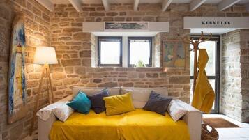 TV connectée, cheminée, livres