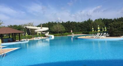 Spacious, modern ground floor apartment, private patio and garden, mosquito nets