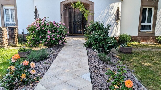 A pathway leading to a house with a black gate, surrounded by flowering plants and a stone wall. - Domaine La Rosière - Villa for 50 people Indoor swimming pool, Tennis court, Cinema, etc. (Diemeringen)