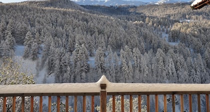 Aito korkean vuoren talo 120m2