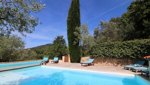 Piscina com espreguiçadeiras e uma árvore alta ao fundo.