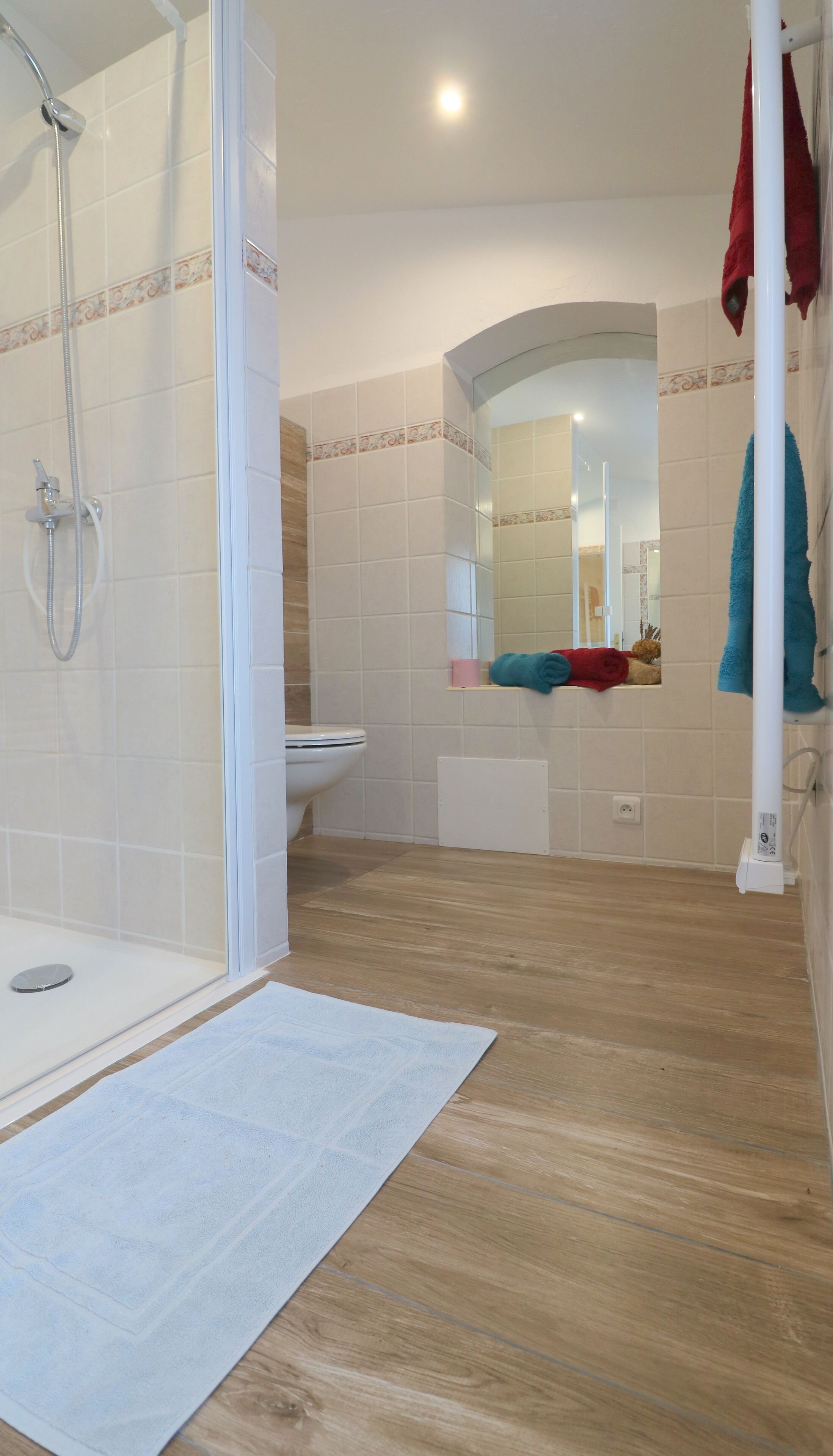 A bathroom with a shower, toilet, and a mirror.