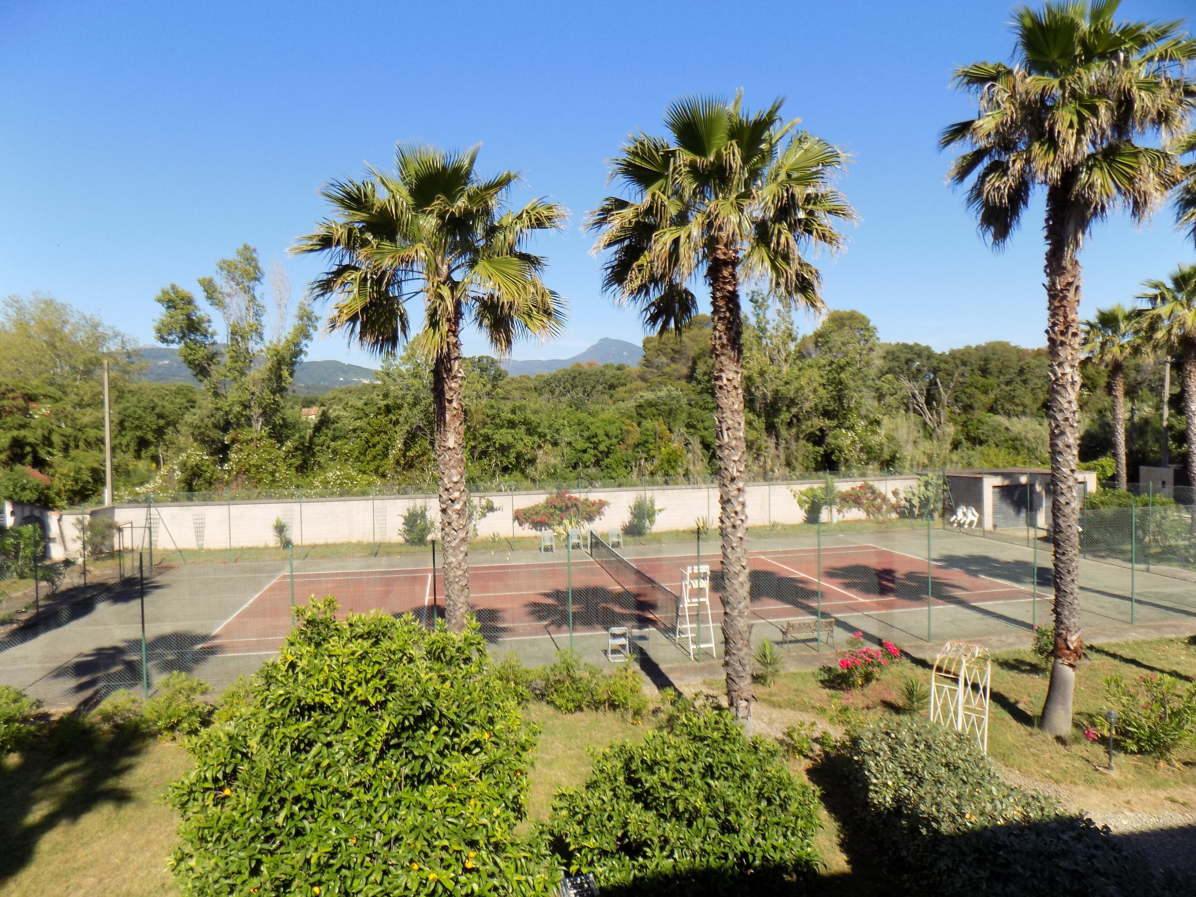 Cancha de tenis rodeada de palmeras y vegetación, con cielo despejado y montañas al fondo.