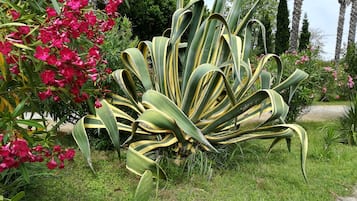 外观细节