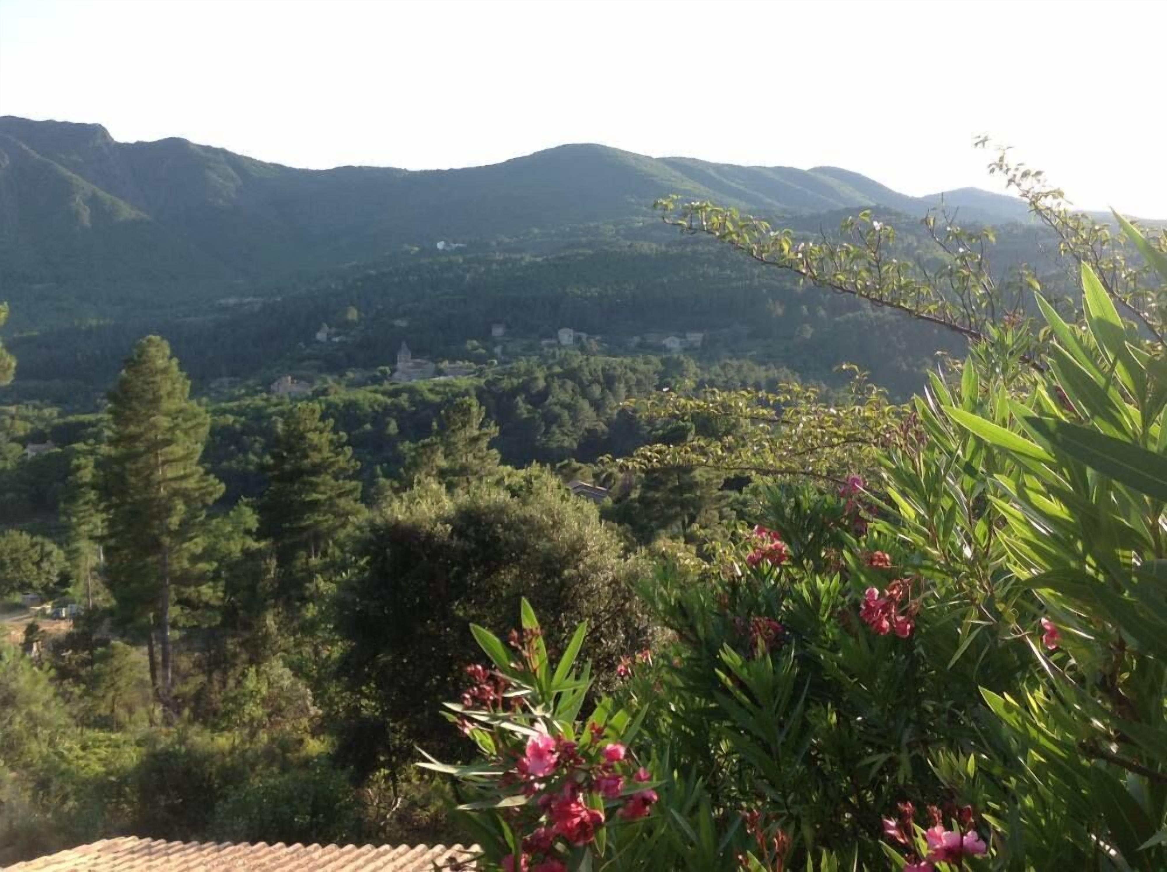 A mountainous landscape with dense forests and a few buildings in the distance.