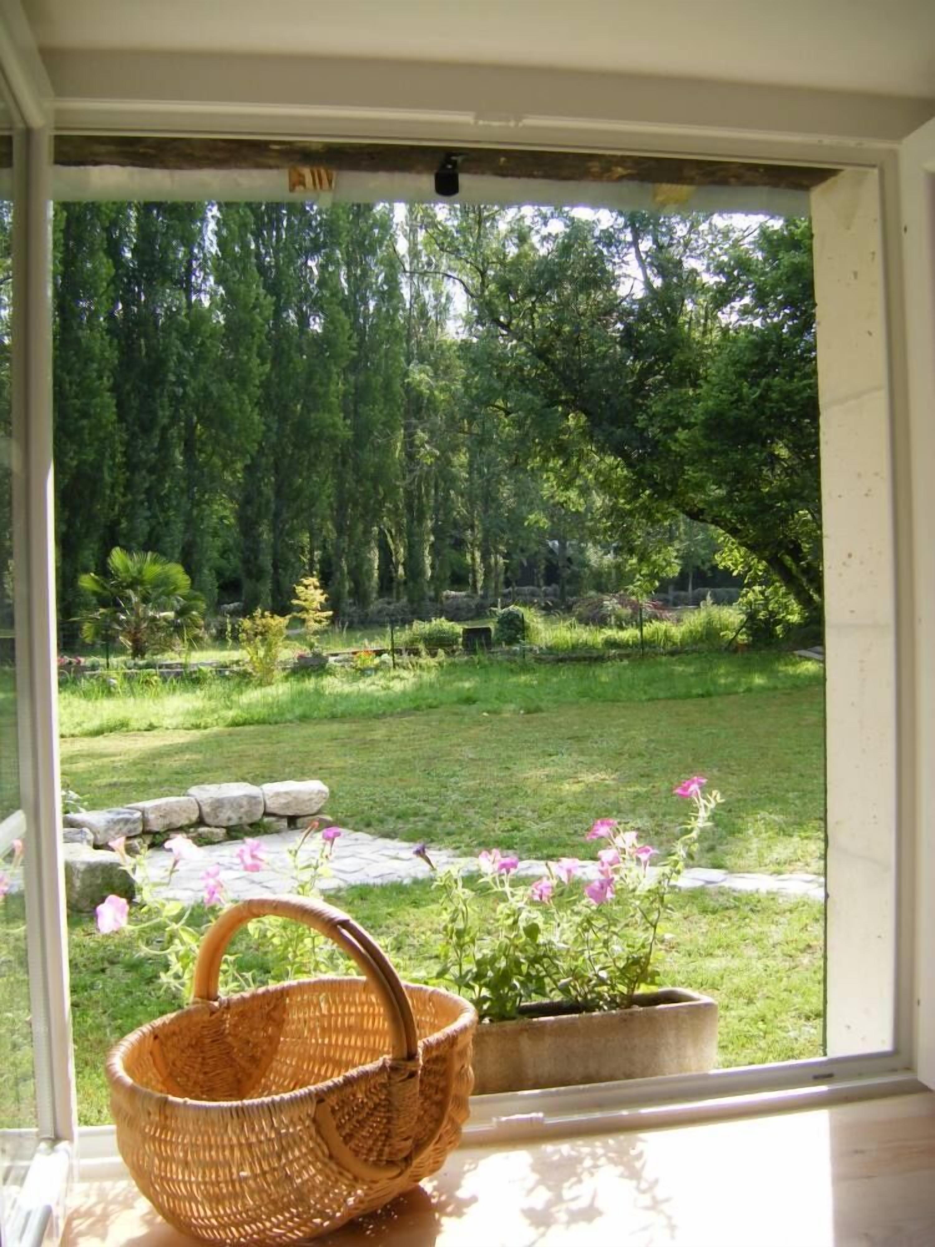 Garden, Park