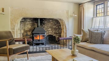 TV, fireplace, DVD player, books