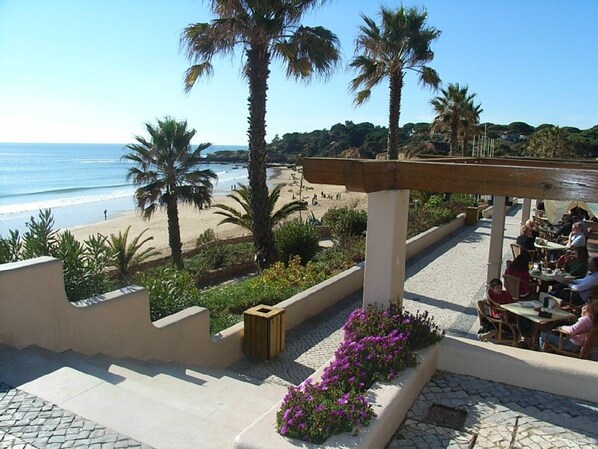 A beachside patio with outdoor seating, palm trees, and a view of the beach and ocean.