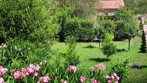Un jardín con diversas plantas y flores, un edificio de piedra con tejado de tejas y un cielo azul despejado.