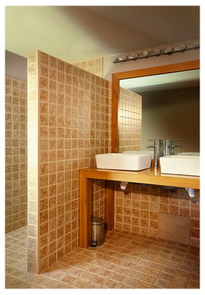 Shower, hair dryer, soap