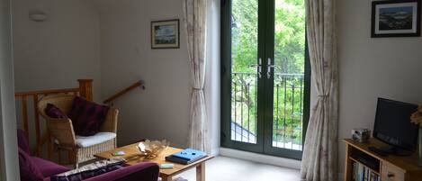 TV, DVD player, books