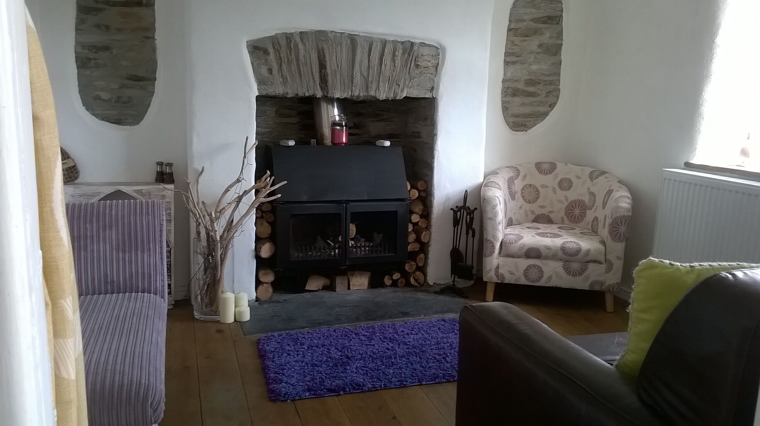 Fireplace, DVD player, books, music library