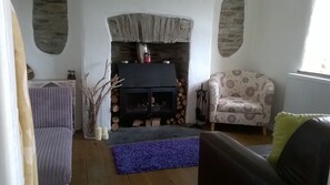 Fireplace, DVD player, books, music library - Lovely end of row character cottage with stunning views over the River Teifi (cardigan)