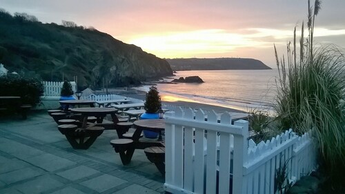 Lovely end of row character cottage with stunning views over the River Teifi