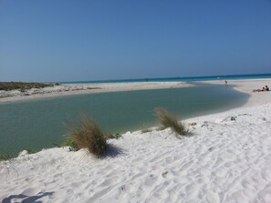 Beach nearby