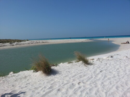 Tuscany, an agrotourism apartment between sea and countryside.