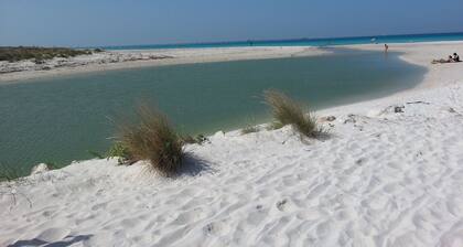 Tuscany, an agrotourism apartment between sea and countryside.