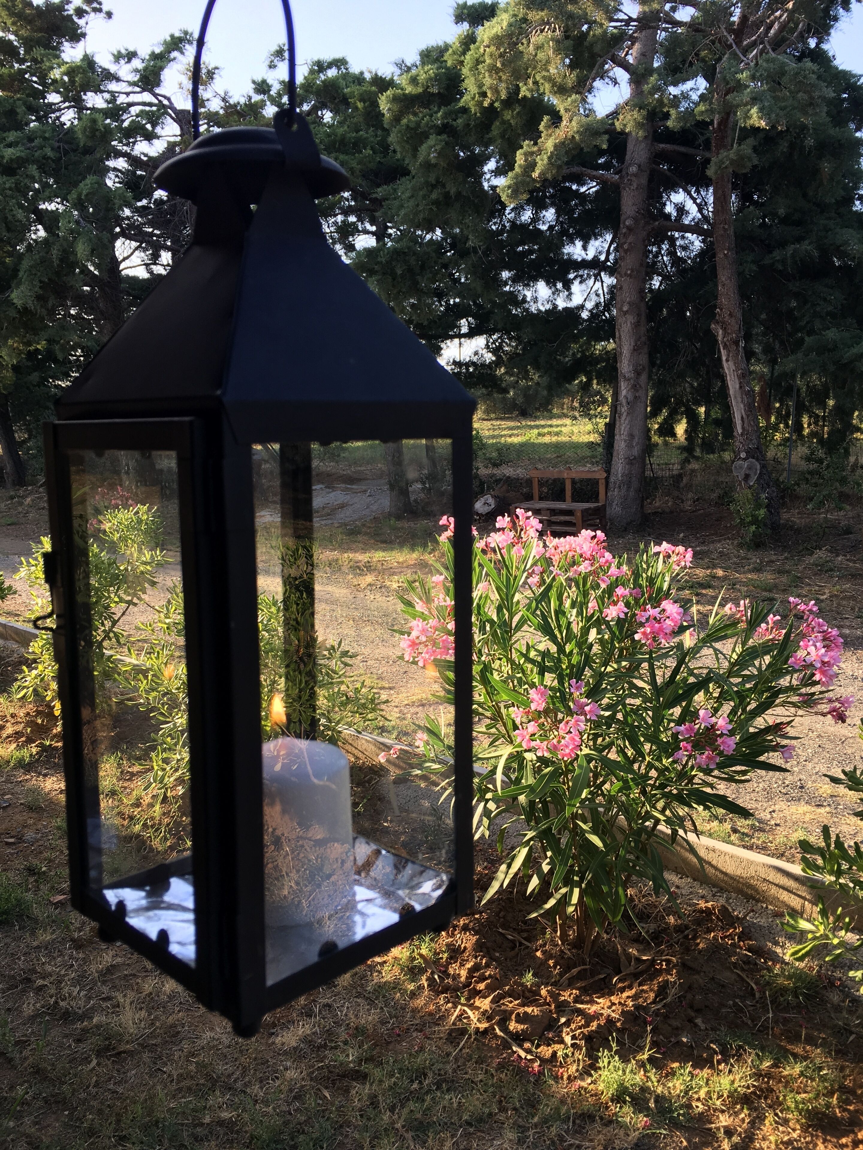 Un farol negro con estructura de vidrio, colocado al aire libre cerca de flores rosadas.